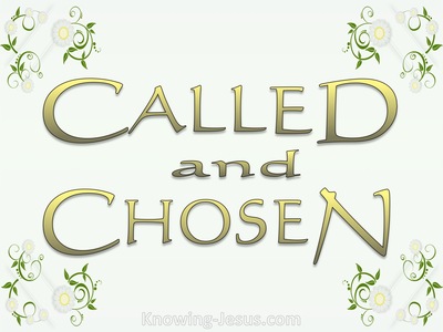 Called and Chosen (devotional)11-16 (sage)